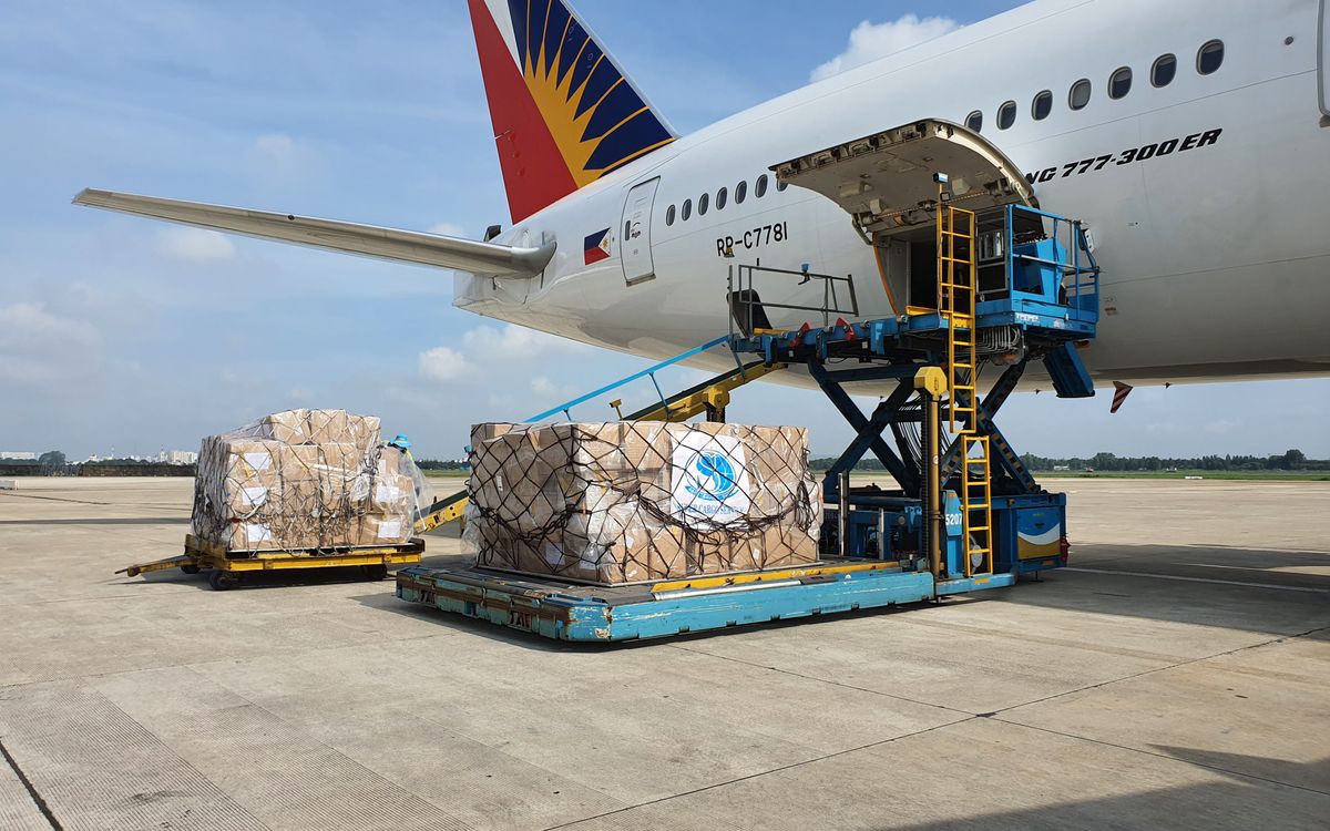Personal de tierra cargando paletas de carga aérea envueltas en plástico en la bodega de un avión de fuselaje ancho